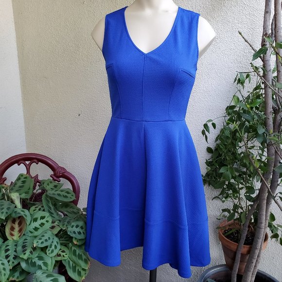 love...ady Dresses & Skirts - ❤️Hostess Pick Love..ady Royal Blue sleeveless V neck Dress